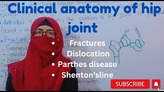 Clinical anatomy of hip joint  fractures dislocations perthes disease Shentons line lower limb [upl. by Lenka]