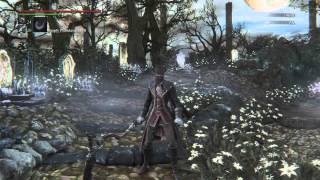 Bloodborne  Cape Flapping [upl. by Florine762]