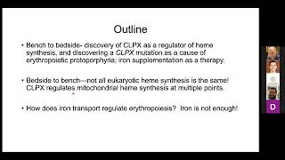 CIHD Virtual Seminar January 12th 2021  Yvette Yien PhD [upl. by Woodsum]