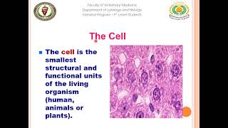 12 histology Cytology  epithelial tissue connective tissue [upl. by Ogawa780]