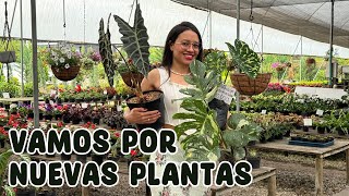 Cómo elegir las mejores plantas del vivero para que duren más en casa │Candy Bu [upl. by Heinrich]