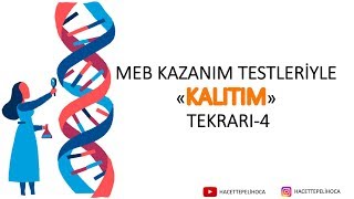 MEB KAZANIM TESTİ İLE KALITIM TEKRARI  4  10 SINIF TYT  hacettepelihoca [upl. by Liba]