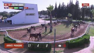 Live Hippodrome «SETTAT »  Courses du « 14022024 » [upl. by Oiramaj424]