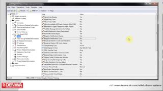 How to edit system flags on your Mitel 5000 Phone System [upl. by Fitz]