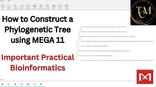 HOW TO CONSTRUCT A PHYLOGENETIC TREE USING MEGA11 I IMPORTANT BIOINFORMATICS PRACTICAL [upl. by Ahen834]