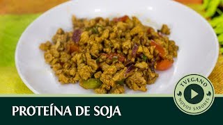 PROTEÍNA DE SOJA APRENDA COMO PREPARAR  TVegano 78 [upl. by Ladin]