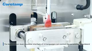 200 Series  Single Lane Ketchup Packaging Machine Liquid Packaging Back Seal [upl. by Fianna]