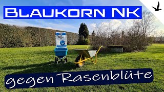 Rasendünger Blaukorn NK gegen Rasen Blüte🚩Erklärung und Anwendung [upl. by Diehl]