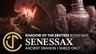 ELDEN RING Shadow of the Erdtree  Ancient Dragon Senessax Shield only NG [upl. by Rachaba]