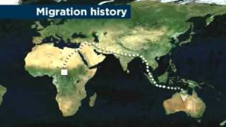 Aboriginal DNA provides human migration clues [upl. by Aggappora]