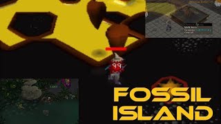 FOSSIL ISLAND MINING AND MORE [upl. by Gnouhp624]