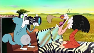 ᴴᴰ Oggy and the Cockroaches Safarigolade Episodes HD for KIDS [upl. by Knowle]