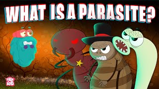 PARASITE  What Is A PARASITE  Biology For Kids  The Dr Binocs Show  Peekaboo Kidz [upl. by Tally]