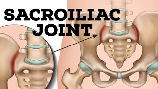 Sacroiliac joint [upl. by Kcirddes]