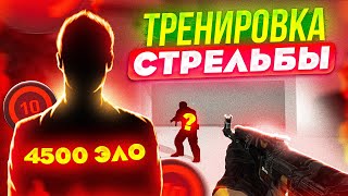 ИДЕАЛЬНАЯ ТРЕНИРОВКА СТРЕЛЬБЫ В КСГО 2023 [upl. by Teteak]