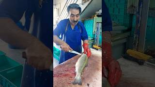 How to fillet a trout for frying fishcutting [upl. by Kendrah398]