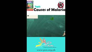 Causes of Malaria part 2 I Biology  Biology penacademy malarialifecycle malaria [upl. by Yecaj388]