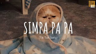 Simpa Pa Pa Симпа  Vuong Ngoc Manh  Vietsub  Lyric Tik Tok Song [upl. by Petie]