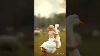 Cute baby reading duck 🦆viralvideo funnyvideo youtubeshorts [upl. by Renell10]