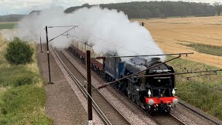 Steam Locomotive 60532 ‘Blue Peter’ passing Ryther  July 13th 2024 [upl. by Sheena]