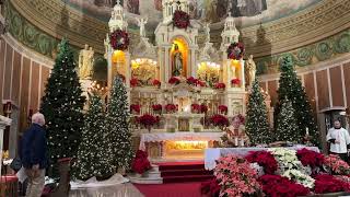 St Casimir Mass for December 25 2023 [upl. by Rehpotsyrk]