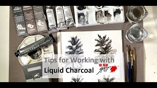 Review of Liquid Charcoals [upl. by Llertak]