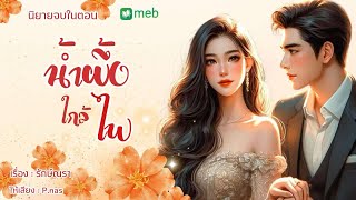 นิยายเสียง น้ำผึ้งใกล้ไฟ นิยายจบในตอน mebmarket นิยาย novel [upl. by Tnahs]