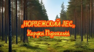 НОРВЕЖСКИЙ ЛЕСХаруки МуракамиКраткий пересказ [upl. by Aaren895]