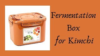 Fermentation Storage Box  Where I Keep My Kimchi [upl. by Emile]