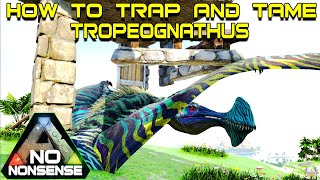 HOW TO TRAP AND TAME A TROPEOGNATHUS  No Nonsense ARK [upl. by Acina]