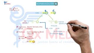 Ficha resumen Obstetricia Isoinmunización Rh ENAMENARMSERUMS [upl. by Yneffit]