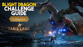 Tarisland  Blight Dragon Raid Challenge Mode EPIC Guide [upl. by Nosaes]