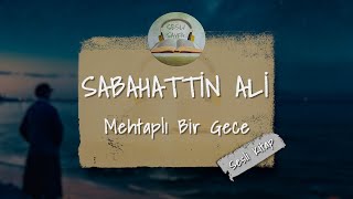 Sabahattin Ali  Mehtaplı Bir Gece  Sesli Kitap [upl. by Eyatnod]