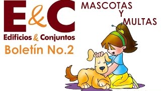 Edificios y Conjunto Multas y tenencia de mascotas  Boletín No 2 [upl. by Yrag]