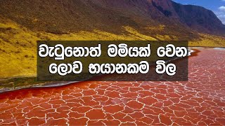 මේ ලෝකයේ තියන භයානකම ස්වභාවික ස්ථාන ඔයා කවදාවත් දැකලා නෑ Abirahas Gaweshanaya [upl. by Nairbal]