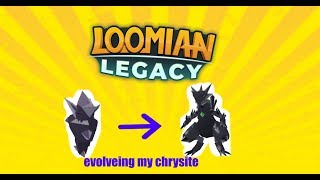 Loomian legacy evolveing my Chrysite to Obsidrugon [upl. by Martainn]