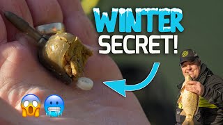 The SECRET winter hookbait  Jamie Hughes Feeder Tip [upl. by Minne535]