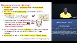 MCAT® Nucleic Acids Part 1 – Summary of Nucleotide structure [upl. by Harpp]