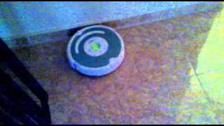 iRobot Roomba 534 Pet limpiando la casa [upl. by Siver]