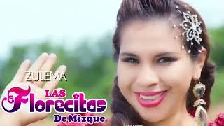 Florecitas de Mizque ZULEMA Primicia 2024✓✓✓ [upl. by Izzy]