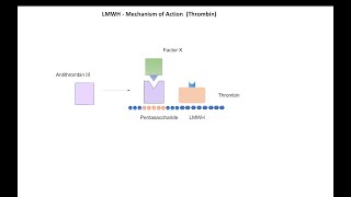 Anticoagulant Drugs Part 2 Low Molecular Weight Heparin [upl. by Aidyl996]