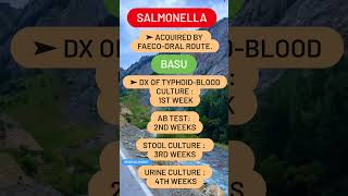 Salmonella [upl. by Enelec]