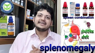 Enlarged spleen  तिल्ली का बढ़ना  Homeopathic Medicine For Splenomegaly  Spleen Combination [upl. by Dralliw40]