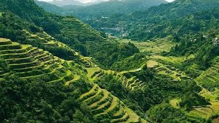 Beautiful Rice Terraces [upl. by Nekcerb916]