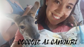 COCCOLIAMO CUCCIOLI DI CANGURO  🌏Vlog Australia [upl. by Airdnaxela717]