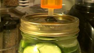 Lacto Fermented Diy Fermentation Air lock [upl. by Ennahs]