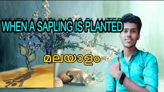 When a sapling is planted in Malayalamline by line explanation in malayalam [upl. by Oakes880]