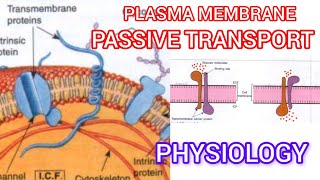 Plasma membrane🫠 passive transport process [upl. by Dnalyk256]