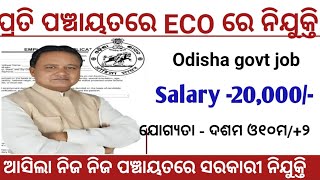 Odisha Panchayat ECO Recruitment 2024  Salary 20000 per months  Odisha govt job [upl. by Nosniv176]