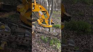 TreeDigging didingmachine treedidingmachine treedidingvideo HeavyMachinery TreeRemoval [upl. by Askari]